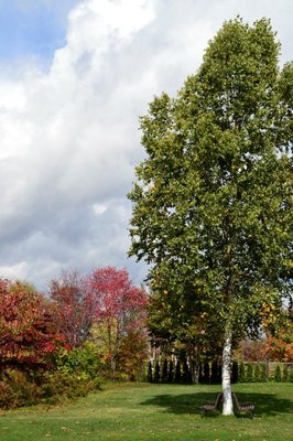 🌸 도카치 힐스 이미지 2